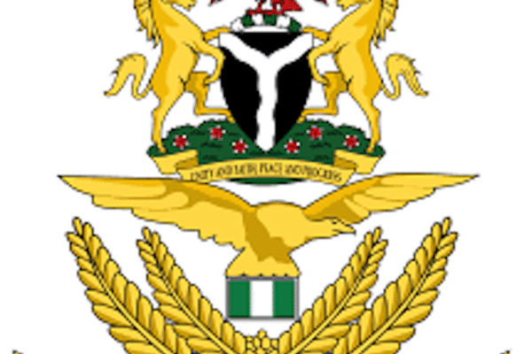 Army, DSS, Hybrid Forces Kill 45 Bandits In Niger 